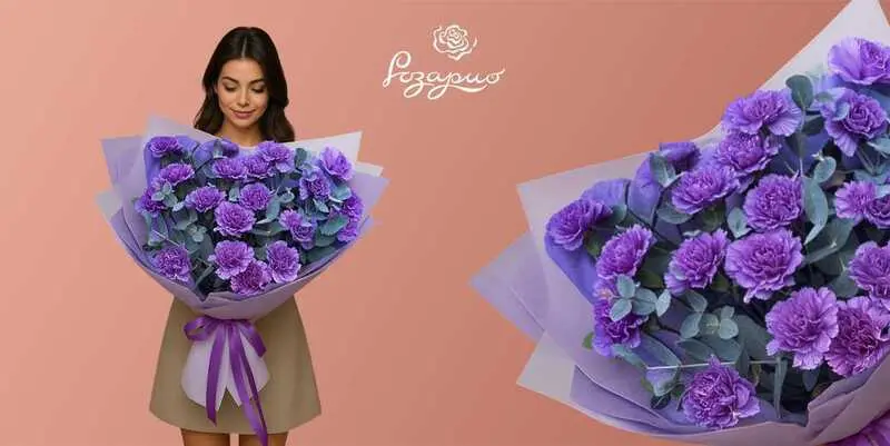 Огромный букет сиреневых гвоздик, фронтальный вид, в руках у девушки